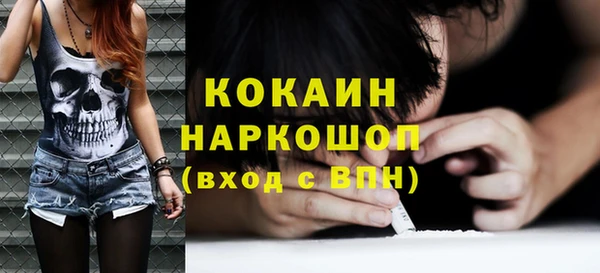кокс Алексин