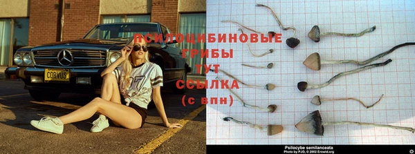 амфетамин Алексеевка