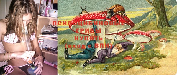 амфетамин Алексеевка